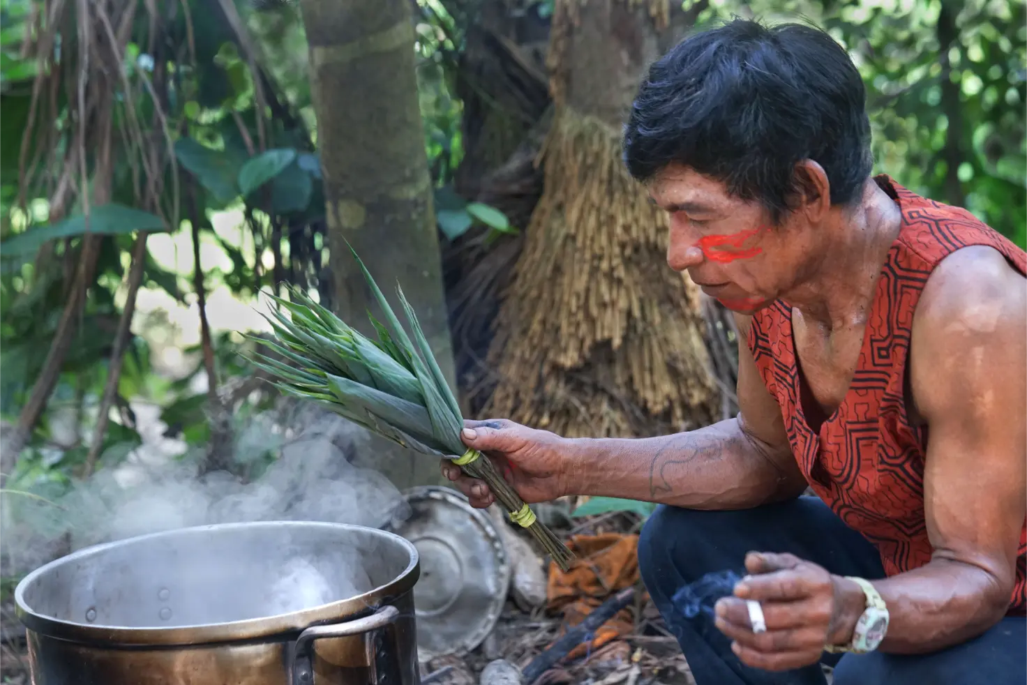 14-Day Ayahuasca Retreat