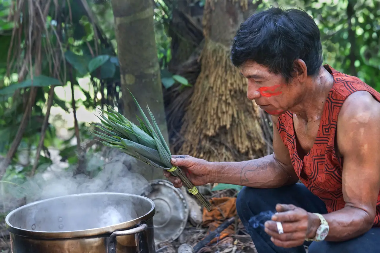 about-us-jungle-retreat-amazon